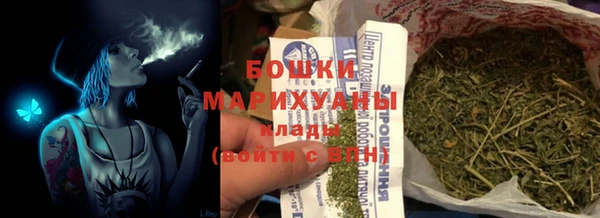 тгк Бородино