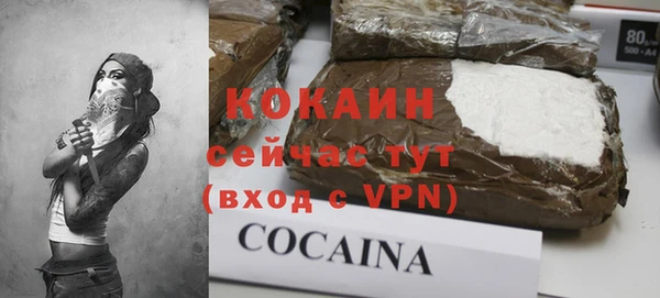 гашик Вяземский