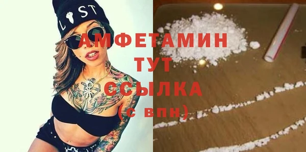 гашик Вяземский
