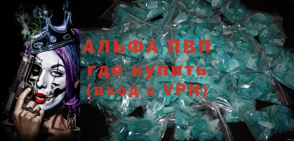 прущие грибы Волоколамск