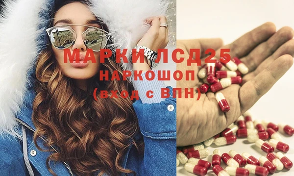 гашик Вяземский