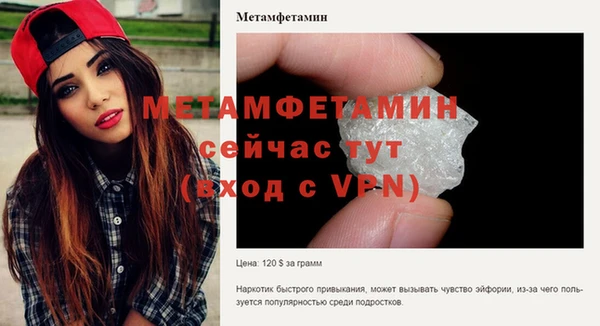 прущие грибы Волоколамск