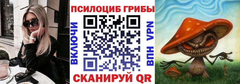 Галлюциногенные грибы Psilocybe  Избербаш 